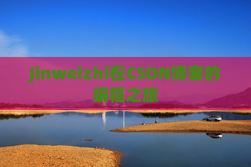 Jinweizhi在CSDN博客的编程之旅
